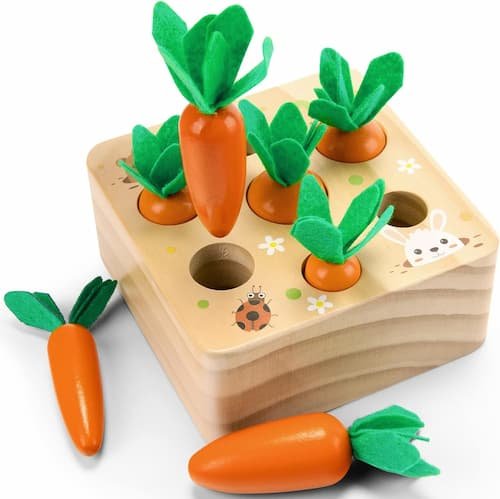Montessori Toys for 1 Year Old
