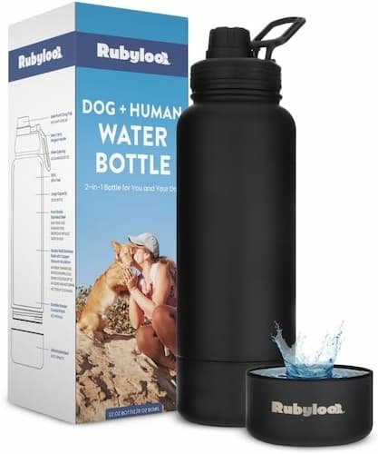 Dog Water Bottle for Dog Lovers - 32 oz Stainless Steel